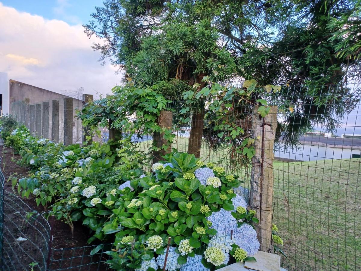 Villa Casa Da Linda Ponta Delgada Esterno foto